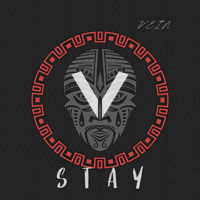 کاور آهنگ STAY از VEIN