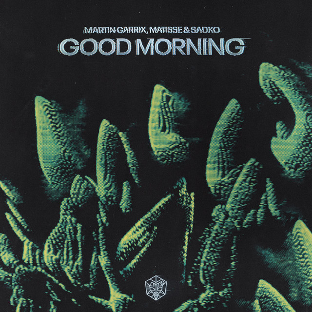 کاور آهنگ Good Morning از Martin Garrix, Matisse & Sadko