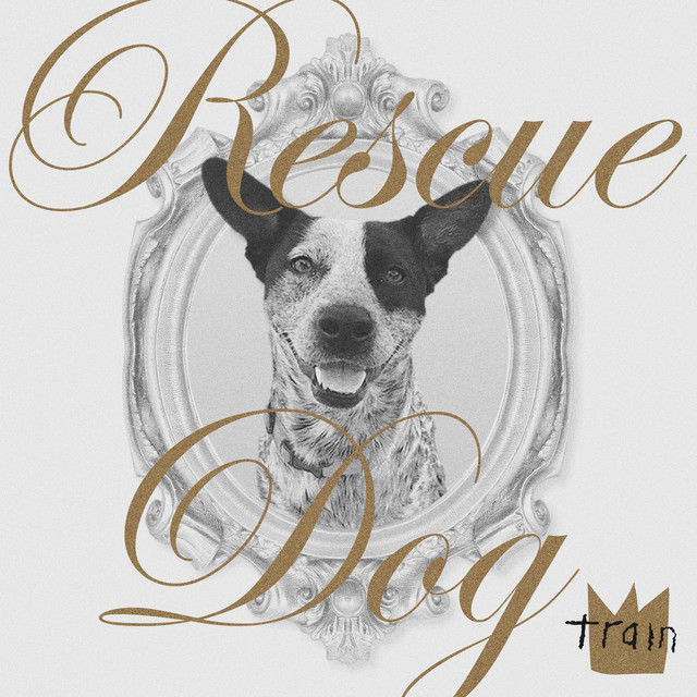 کاور آهنگ Rescue Dog از Train