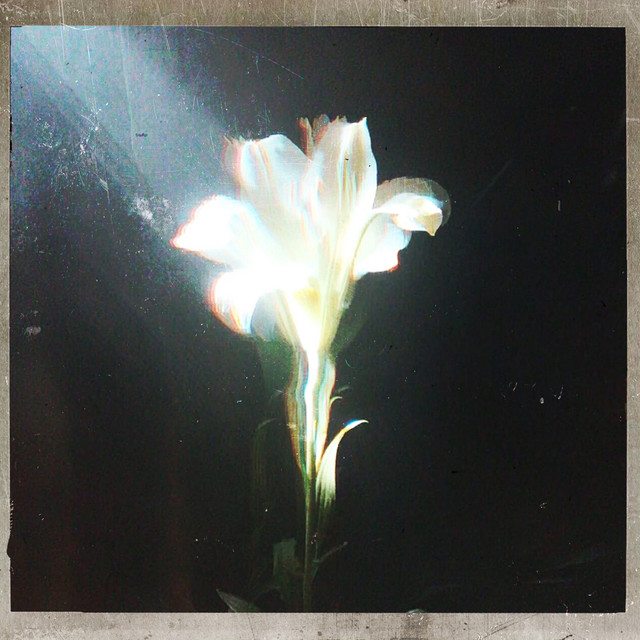 کاور آهنگ Light That Leads Me از Bebe Rexha, Netsky