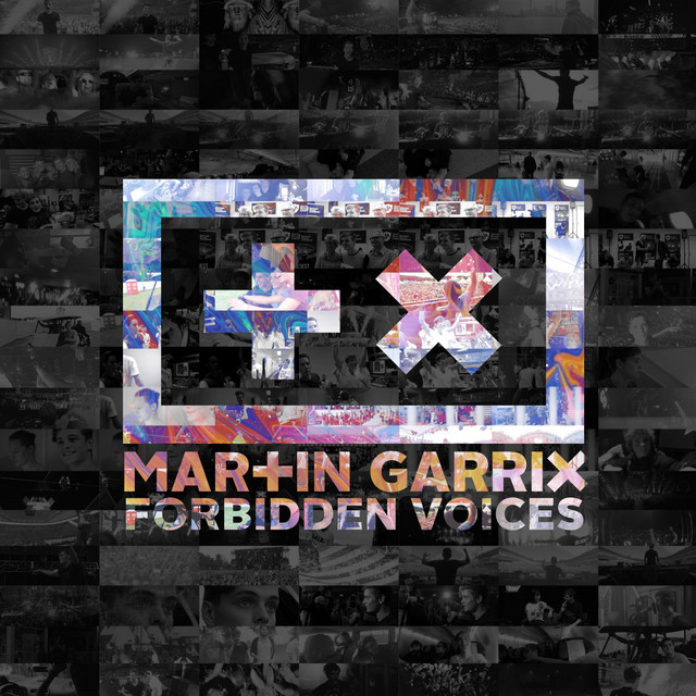 کاور آهنگ Forbidden Voices از Martin Garrix
