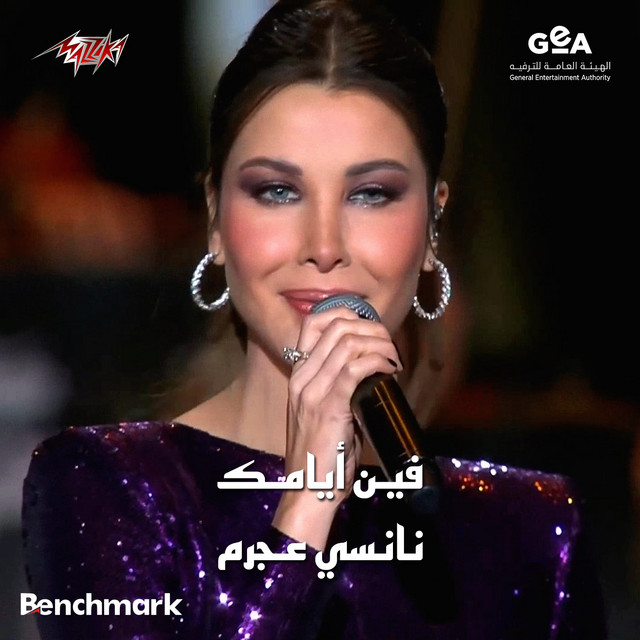کاور آهنگ Fein Ayamak Live از Nancy Ajram