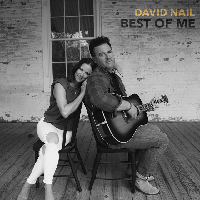 کاور آلبوم Best Of Me از David Nail