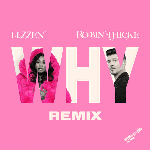 کاور آهنگ Why (Remix) از Robin Thicke, Lizzen