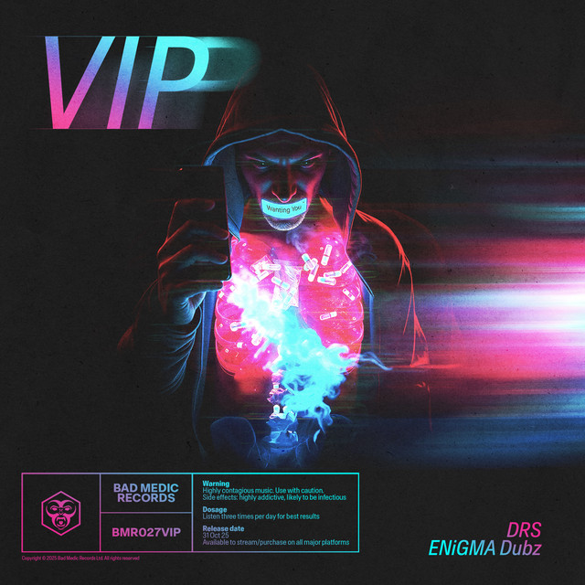کاور آهنگ Wanting You - VIP از DRS, ENiGMA Dubz