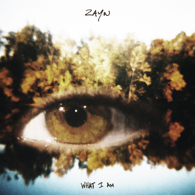 کاور آهنگ What I Am از ZAYN