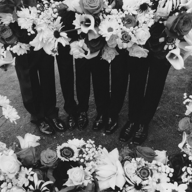 کاور آهنگ I'm In Love With You از The 1975