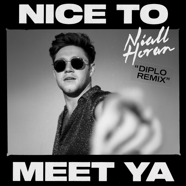 کاور آهنگ Nice To Meet Ya - Diplo Remix از Diplo, Niall Horan