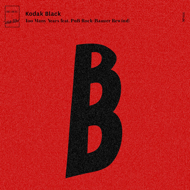 کاور آهنگ Too Many Years (feat. PnB Rock) - Baauer Rewind از Kodak Black, PnB Rock, Baauer
