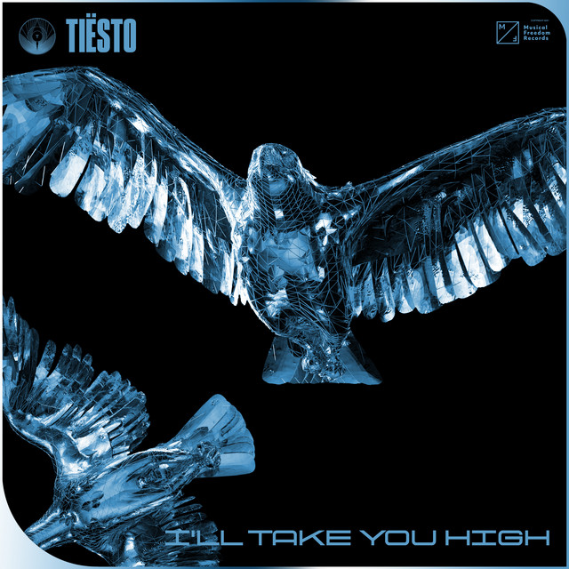 کاور آهنگ I’ll Take You High از Tiësto