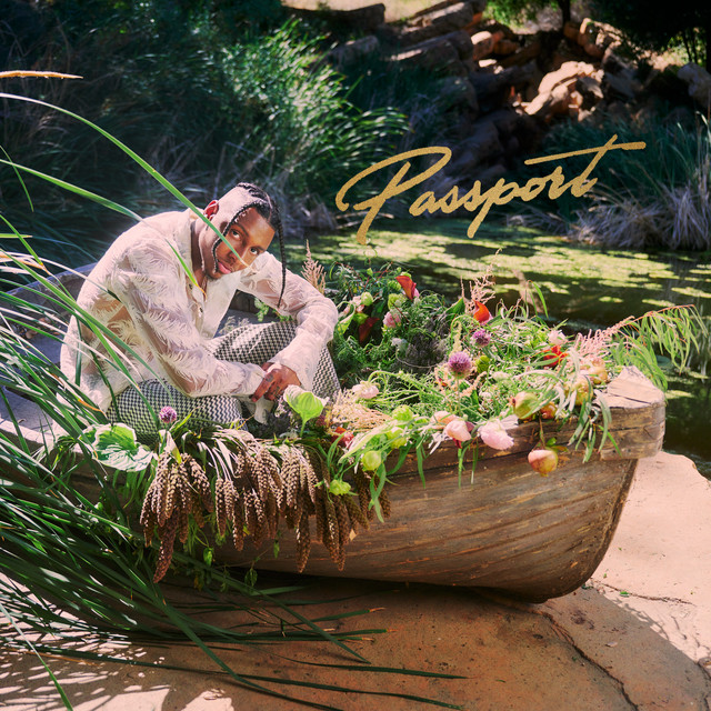 کاور آهنگ Passport - Single Version از Masego