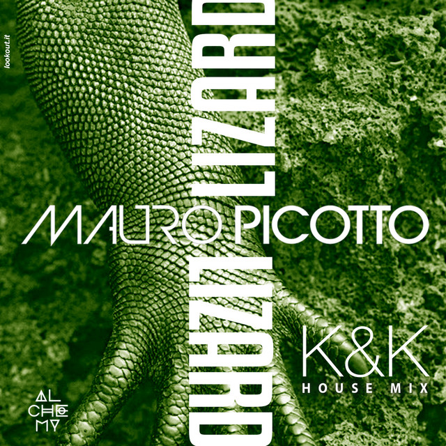 کاور آهنگ Lizard - K & K House Mix از Mauro Picotto, K & K