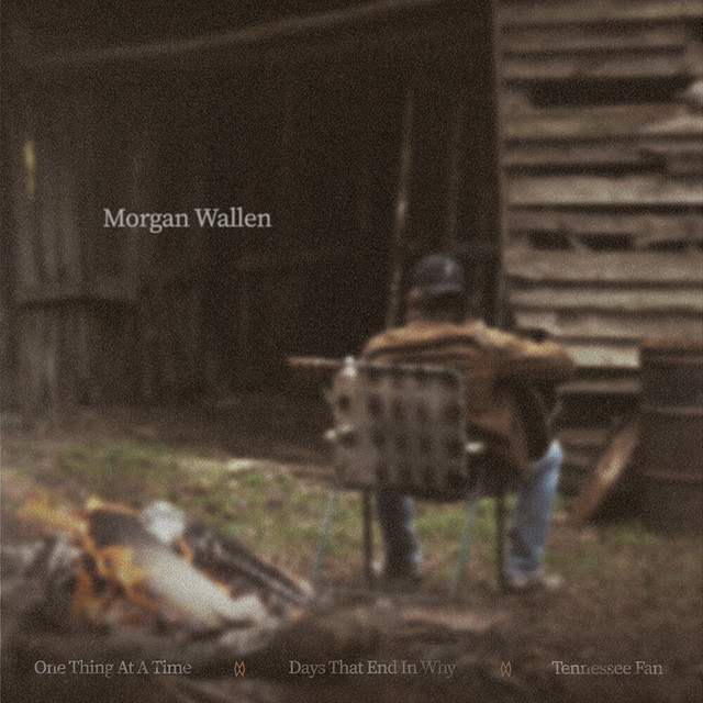 کاور آلبوم One Thing At A Time (Sampler) از Morgan Wallen