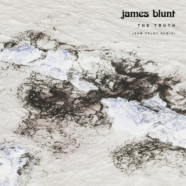 کاور آهنگ The Truth - Sam Feldt Remix از Sam Feldt, James Blunt