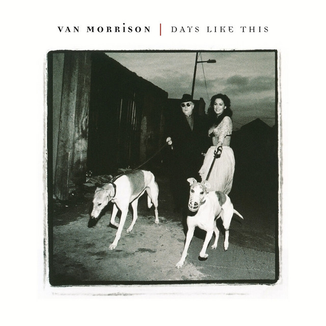 کاور آلبوم Days Like This از Van Morrison
