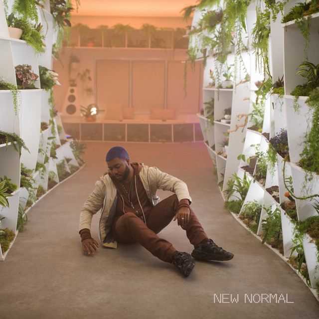 کاور آهنگ New Normal از Khalid