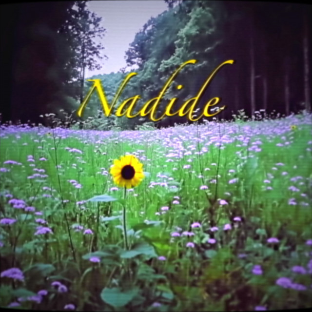 کاور آهنگ Nadide از Reynmen