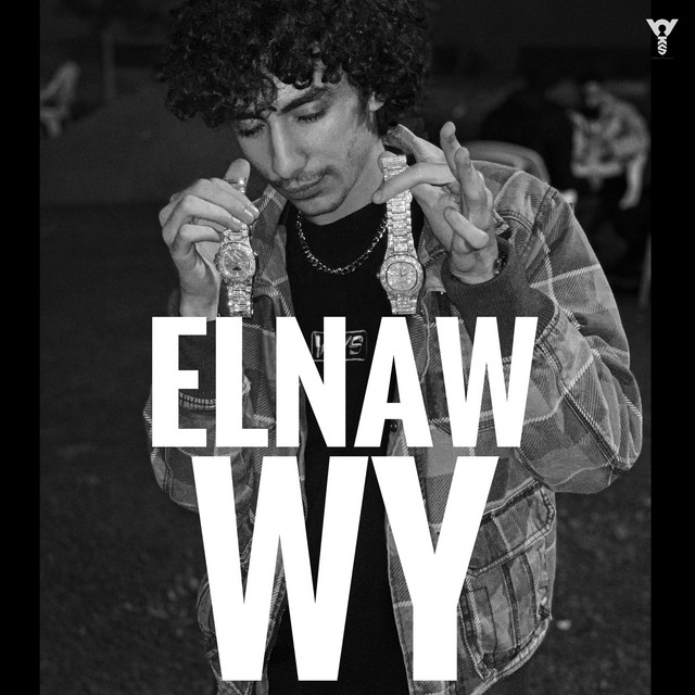 کاور آهنگ ElNaw Wy از Ahmed Santa