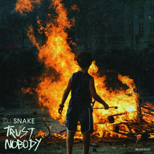 کاور آهنگ Trust Nobody از DJ Snake