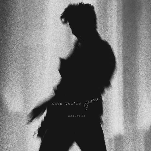 کاور آلبوم When You're Gone (Acoustic) از Shawn Mendes