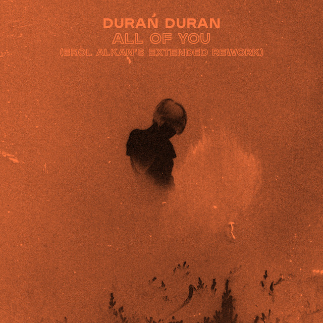کاور آهنگ ALL OF YOU (Erol Alkan's Extended Rework) از Duran Duran, Erol Alkan
