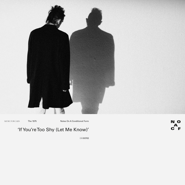 کاور آهنگ If You’re Too Shy (Let Me Know) - Edit از The 1975