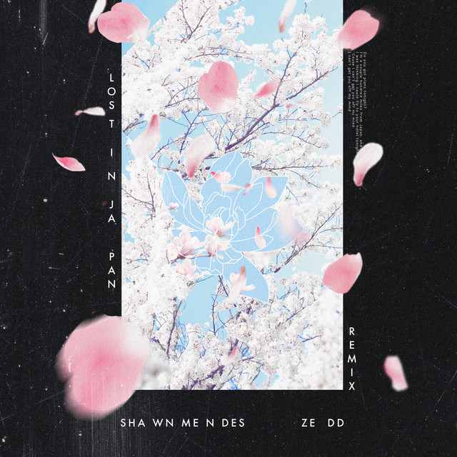 کاور آهنگ Lost In Japan - Remix از Shawn Mendes, Zedd
