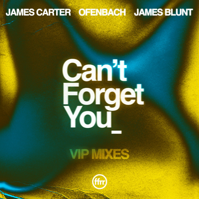 کاور آلبوم Can’t Forget You (feat. James Blunt) [VIP Mixes] از Ofenbach, James Carter, James Blunt
