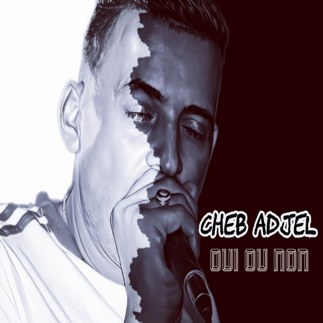 کاور آهنگ Oui Ou Non از Cheb Adjel