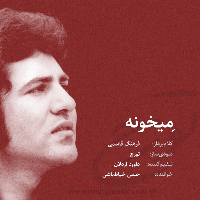 کاور آهنگ میخانه از شبانهی دوم, حسن خیاط باشی