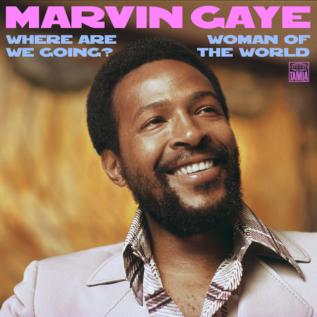 کاور آهنگ Where Are We Going? از Marvin Gaye