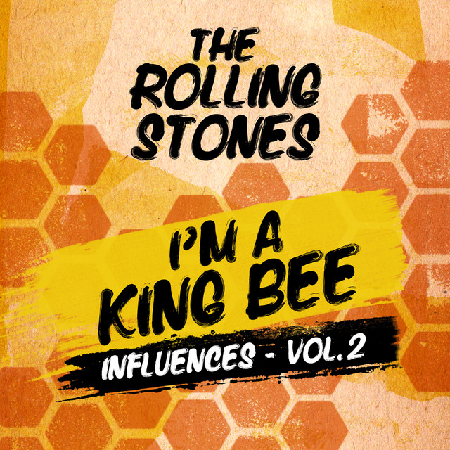 کاور آهنگ Look What You've Done - Mono Version از The Rolling Stones