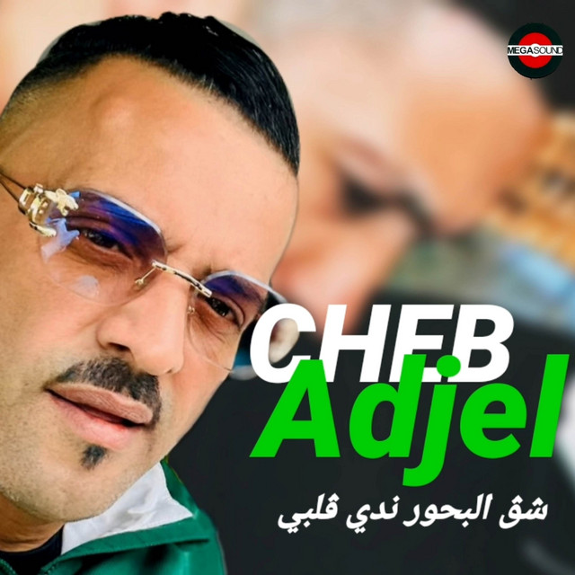 کاور آهنگ نكون هاني مين نسكر تڨابلني از Cheb Adjel