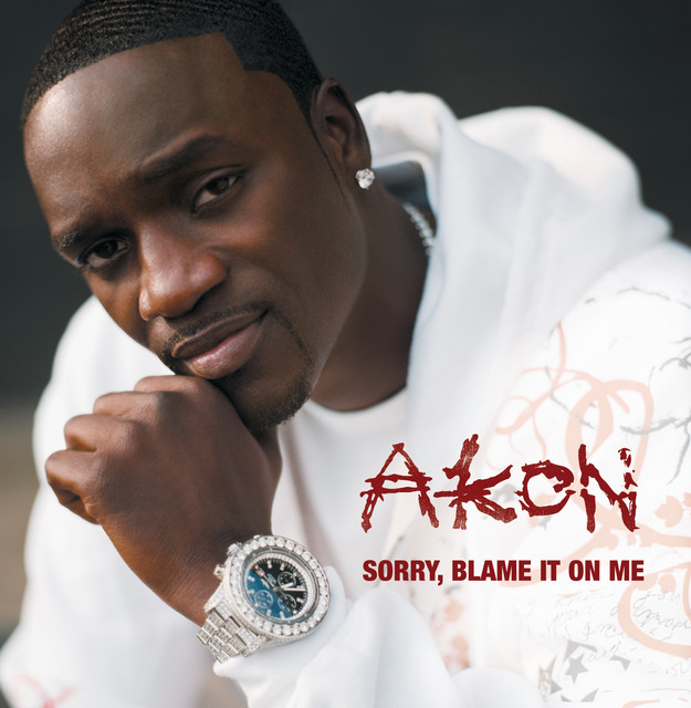 کاور آلبوم Sorry, Blame It On Me از Akon