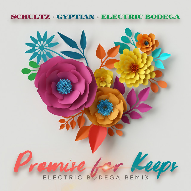 کاور آهنگ Promise for Keeps (Electric Bodega Remix) از Electric Bodega, Gyptian, Matthew Schultz