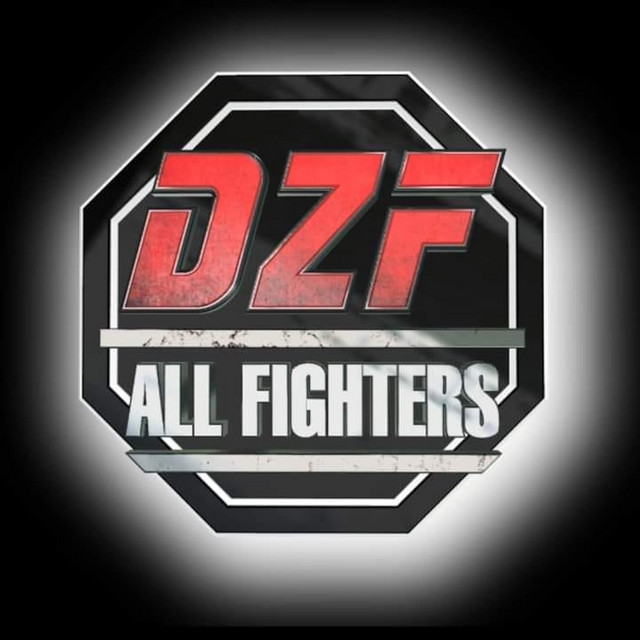 کاور آهنگ DZF - All Fighters از Didine Canon 16
