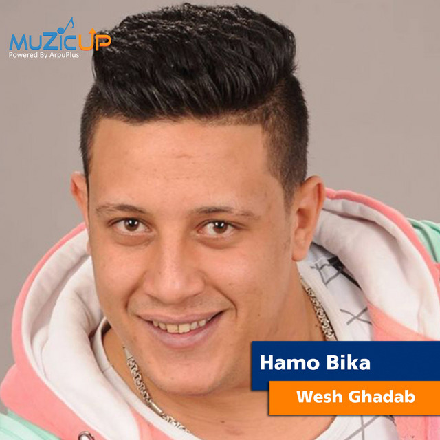 کاور آهنگ Wesh Ghadab از Hamo Bika