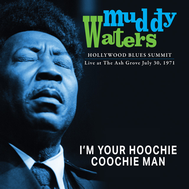 کاور آهنگ I'm Your Hoochie Coochie Man از Muddy Waters