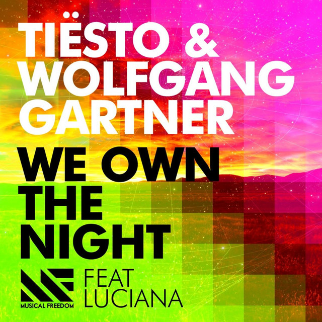 کاور آهنگ We Own the Night - Radio Edit از Tiësto, Wolfgang Gartner