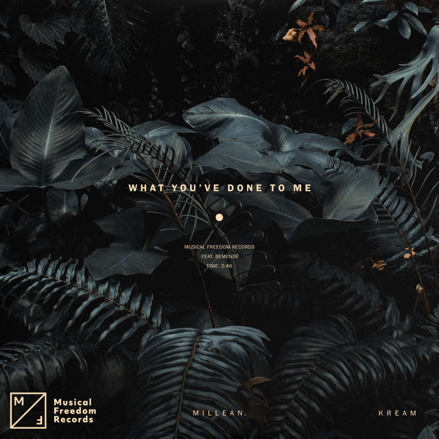 کاور آهنگ What You've Done To Me (feat. Bemendé) - Extended Mix از KREAM, Bemende, Millean.