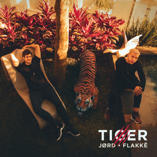 کاور آلبوم Tiger از JORD