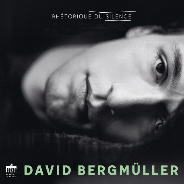 کاور آلبوم Rhetorique du Silence از David Bergmueller