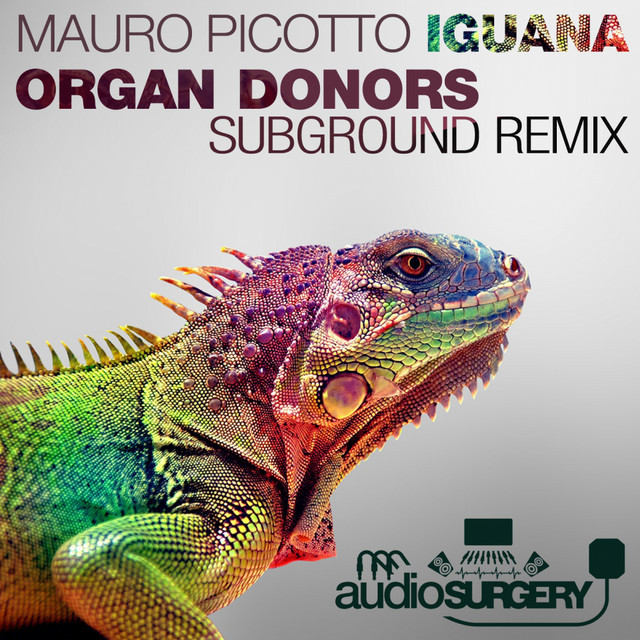 کاور آهنگ Iguana - Organ Donors Subground Rework از Mauro Picotto, Organ Donors