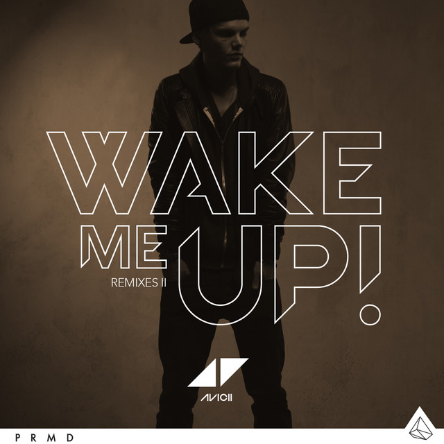 کاور آهنگ Wake Me Up - EDX Miami Sunset Remix از Avicii