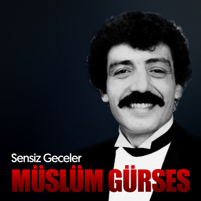 کاور آهنگ Sensiz Geceler از Muslum Gurses
