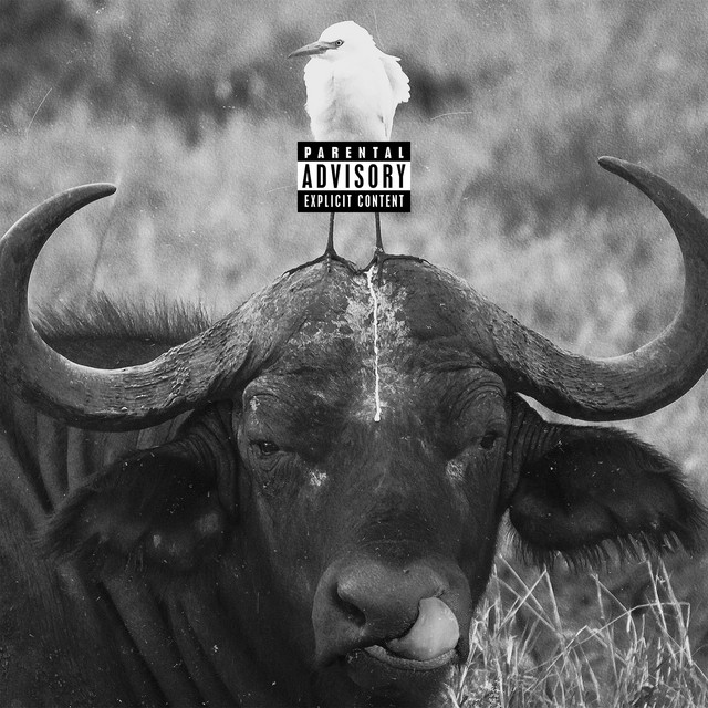 کاور آهنگ Buffalo از Nessyou