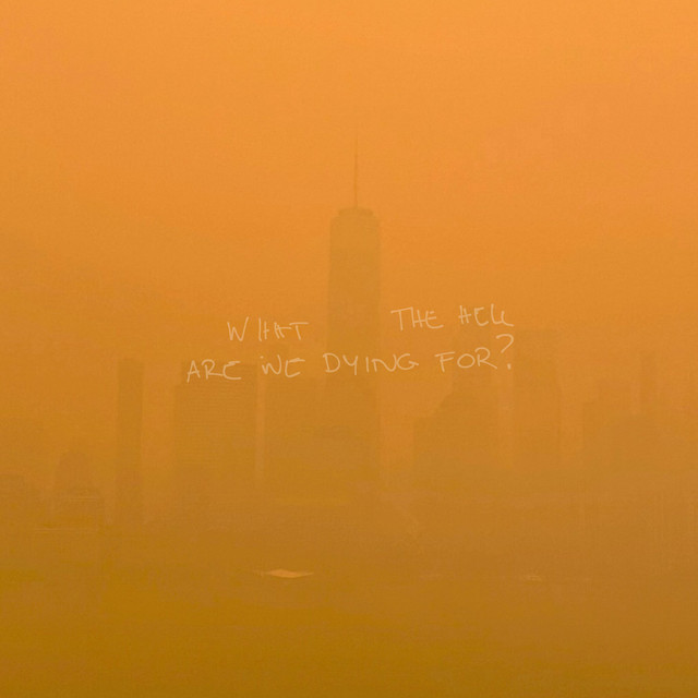 کاور آهنگ WHAT THE HELL ARE WE DYING FOR ? از Shawn Mendes