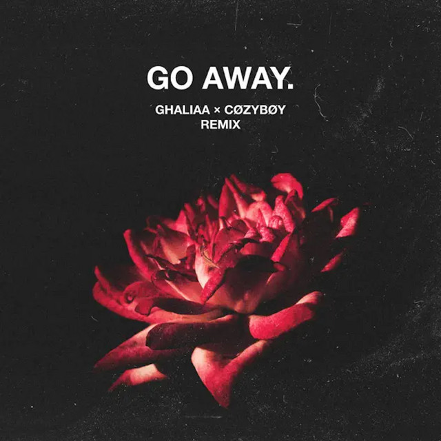 کاور آهنگ Go Away - Remix از Ghaliaa, cozyboy