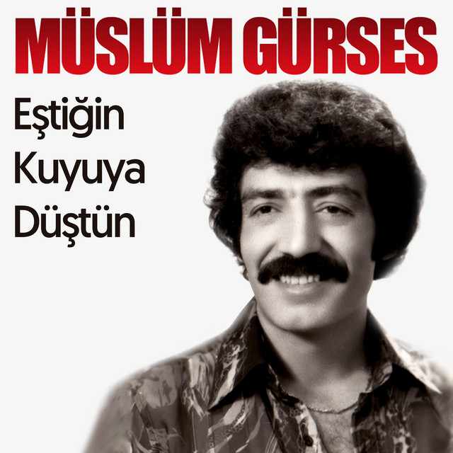 کاور آهنگ Eştiğin Kuyuya Düştün از Muslum Gurses