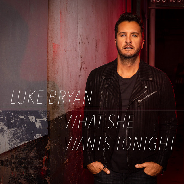 کاور آهنگ What She Wants Tonight از Luke Bryan